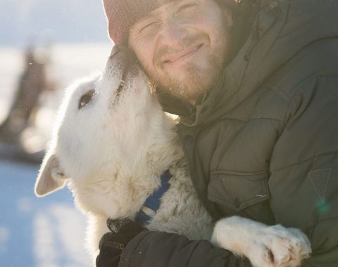 Green Dog Svalbard